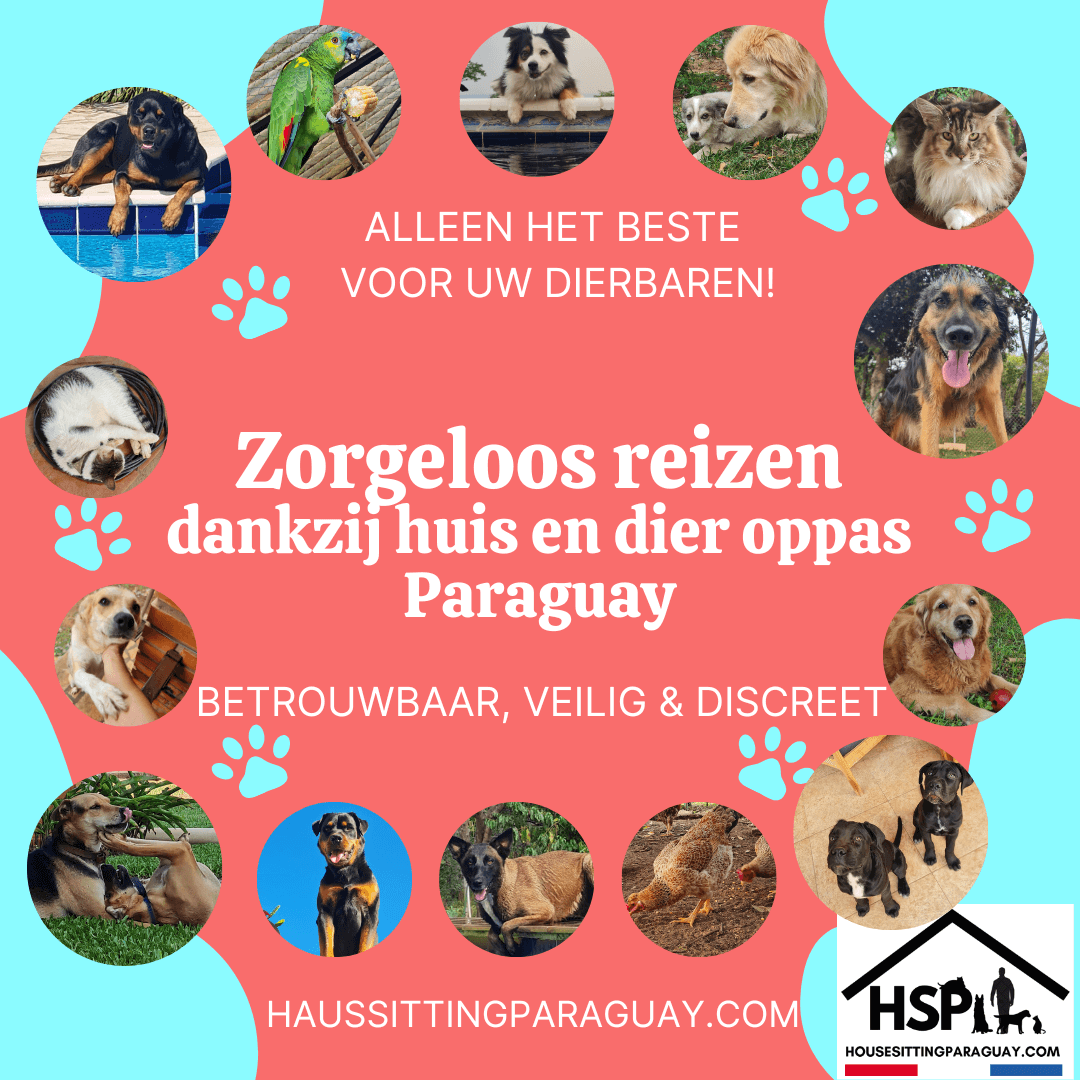 huisoppas paraguay huisdieroppas kompasspy